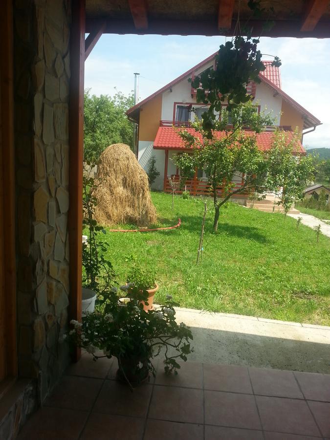 Pensiunea Agroturistica Ioana Bradulet 外观 照片