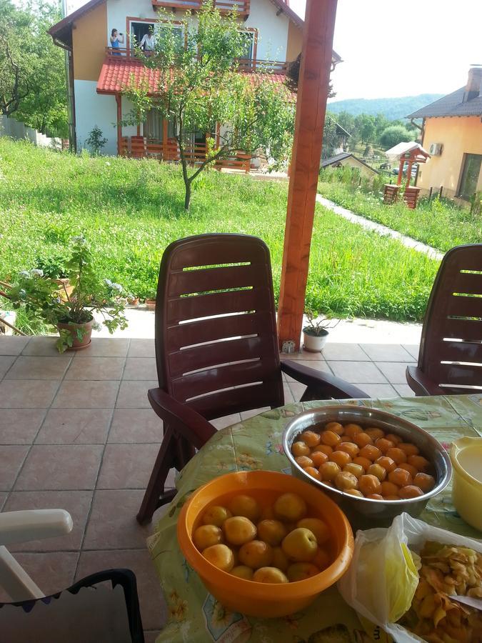 Pensiunea Agroturistica Ioana Bradulet 外观 照片